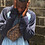 Primus_Dozza